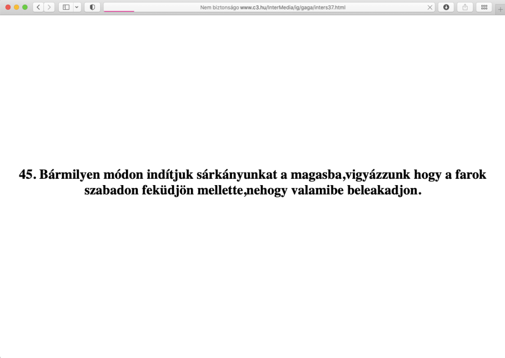 Gábor Erdei: Web Trap,&nbsp;1996